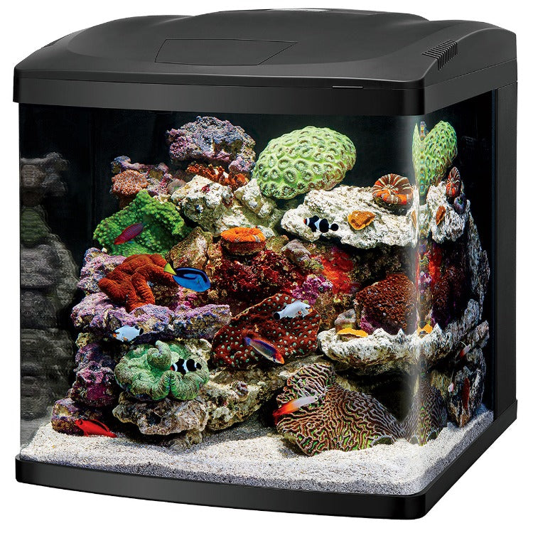 Coralife LED BioCube 32