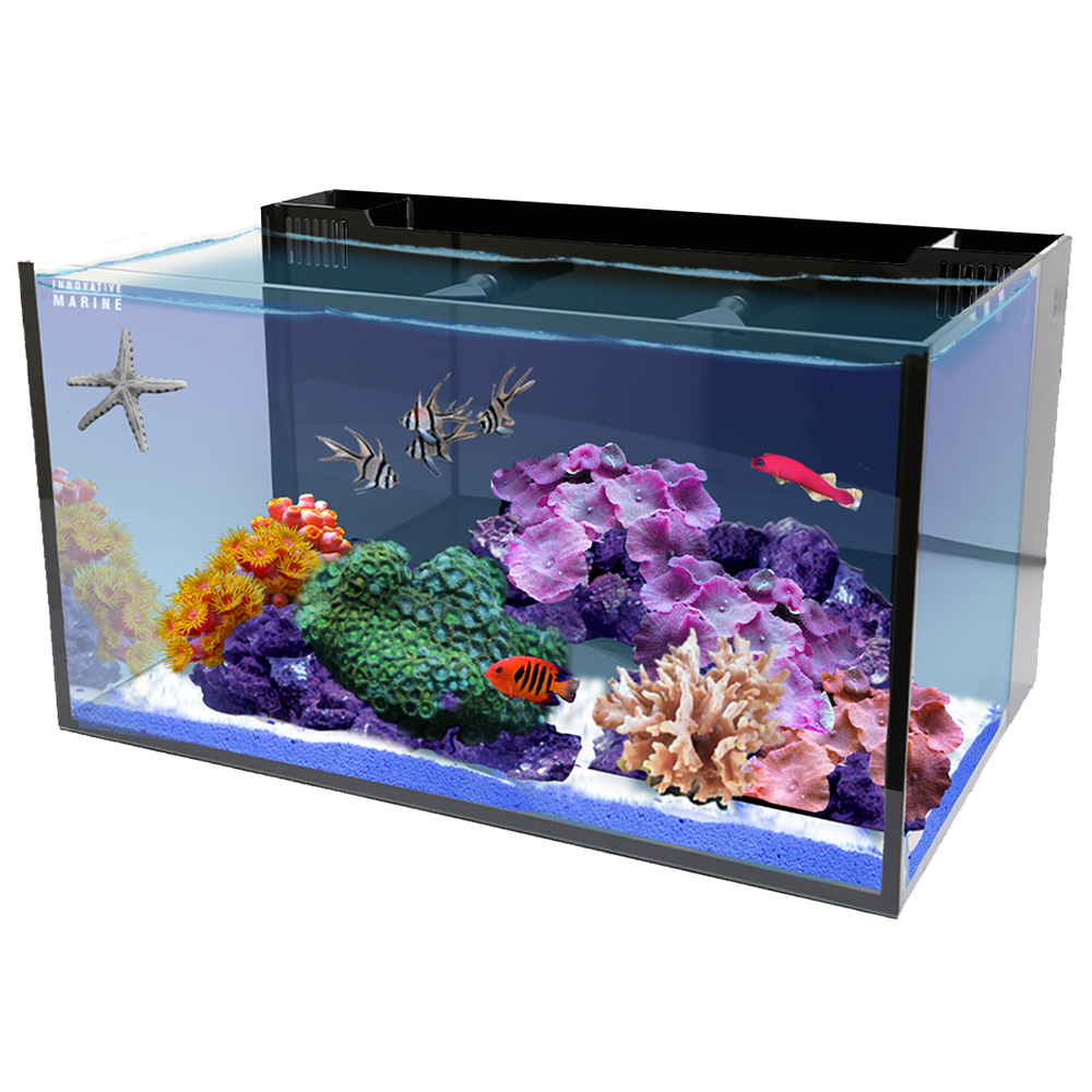 Innovative Marine Nuvo 20 AIO