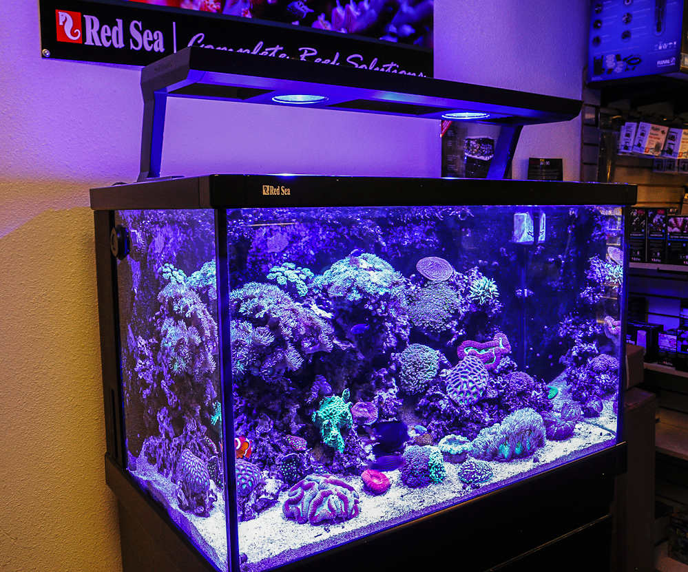 Aquariums & Kits category at Seascape Aquatics