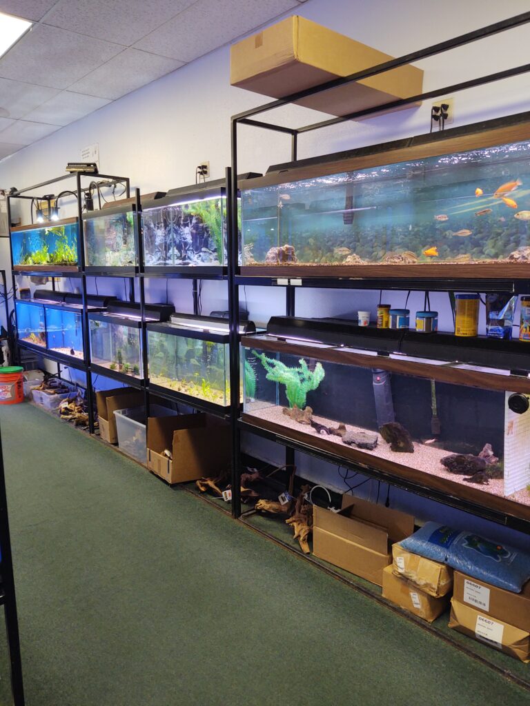 Tank display racks